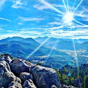 Meet your Posher, Rae